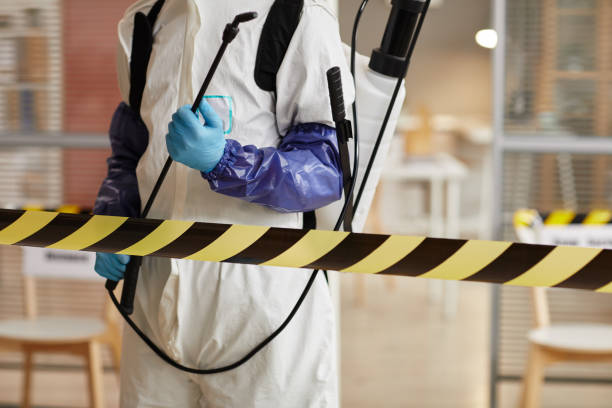 Professional Hoarding Cleanup technician working in Arnold, CA